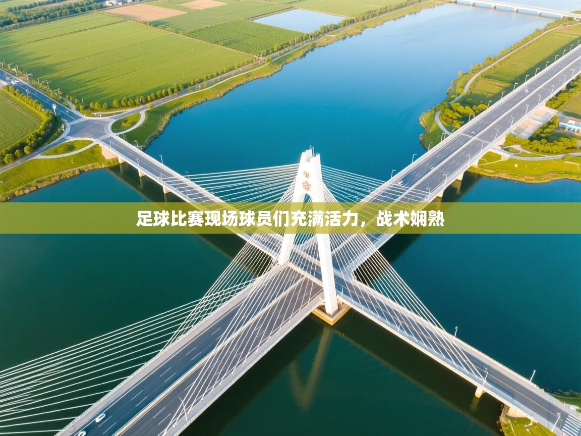 足球比赛现场球员们充满活力，战术娴熟